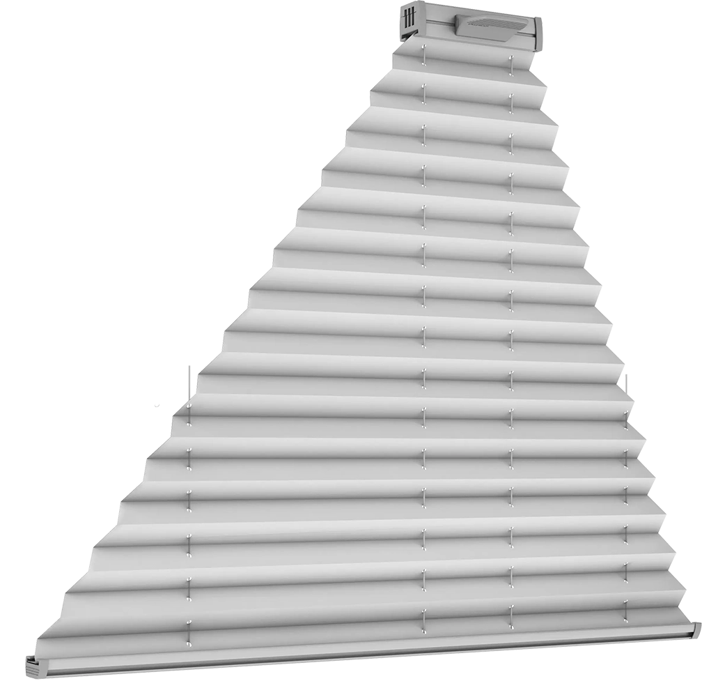 Wariant 6